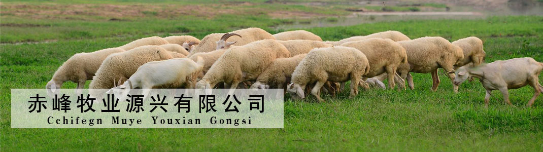 山東鵬博防輻射材料有限公司